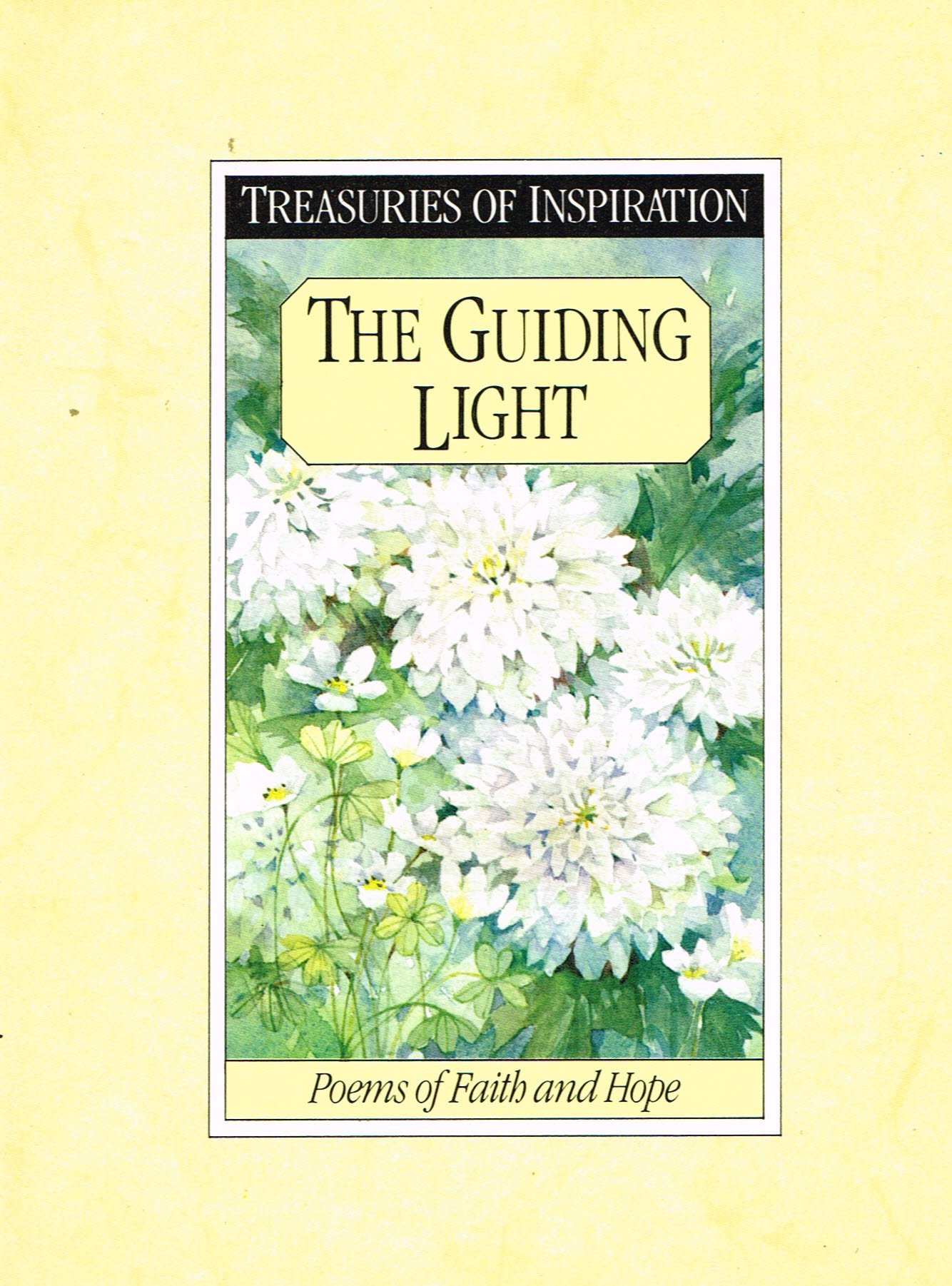 Cover of The Guiding Light -m Poems